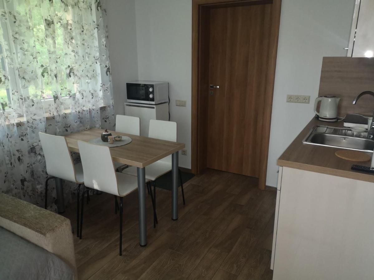 Kristinos Apartment Druskieniki Zewnętrze zdjęcie