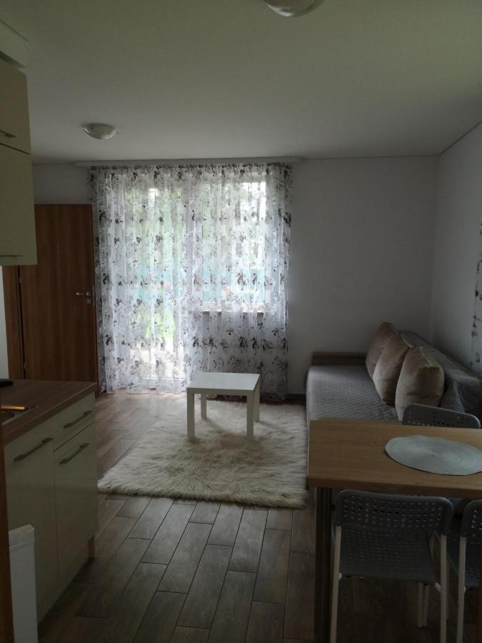 Kristinos Apartment Druskieniki Zewnętrze zdjęcie