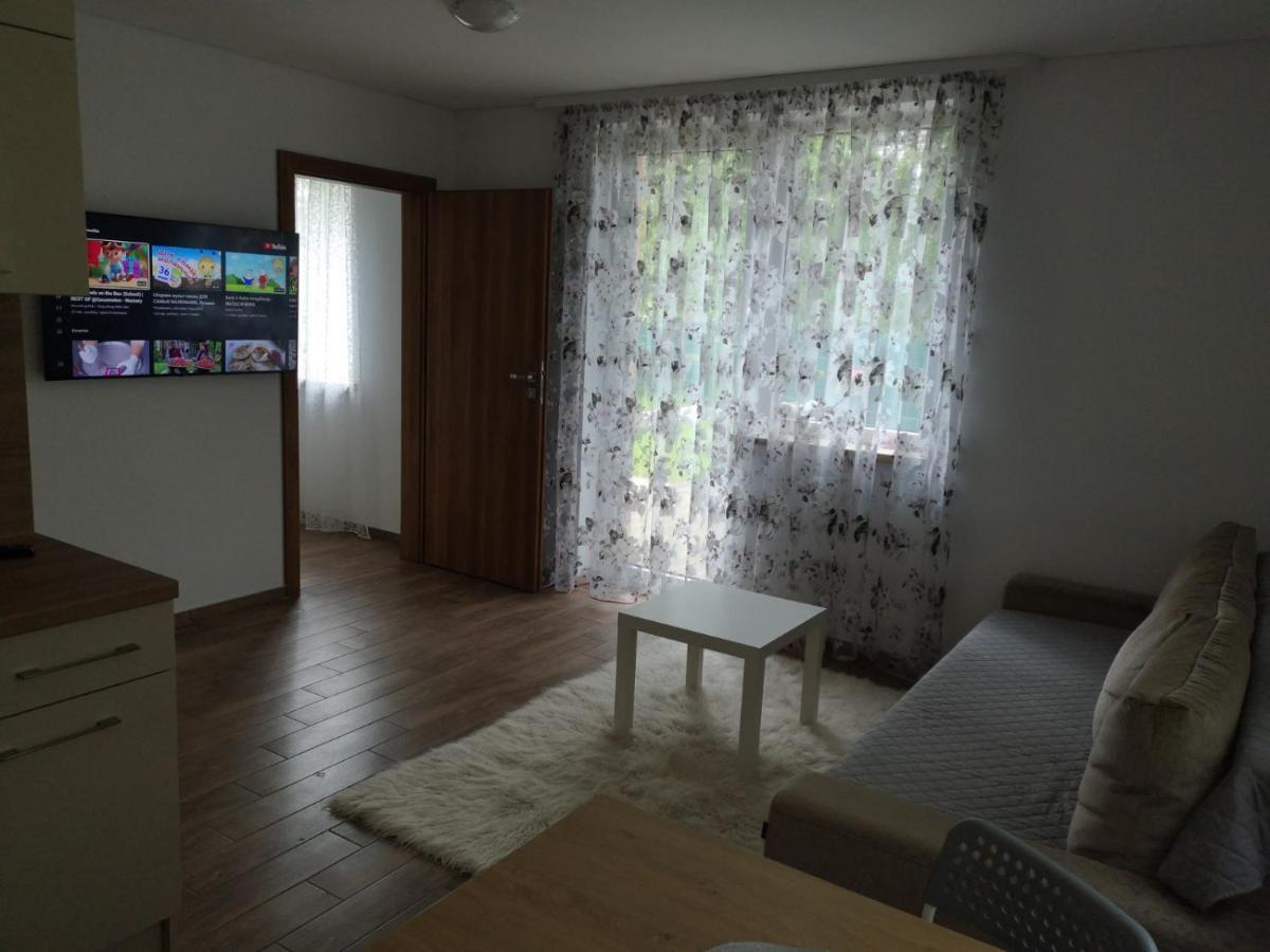 Kristinos Apartment Druskieniki Zewnętrze zdjęcie
