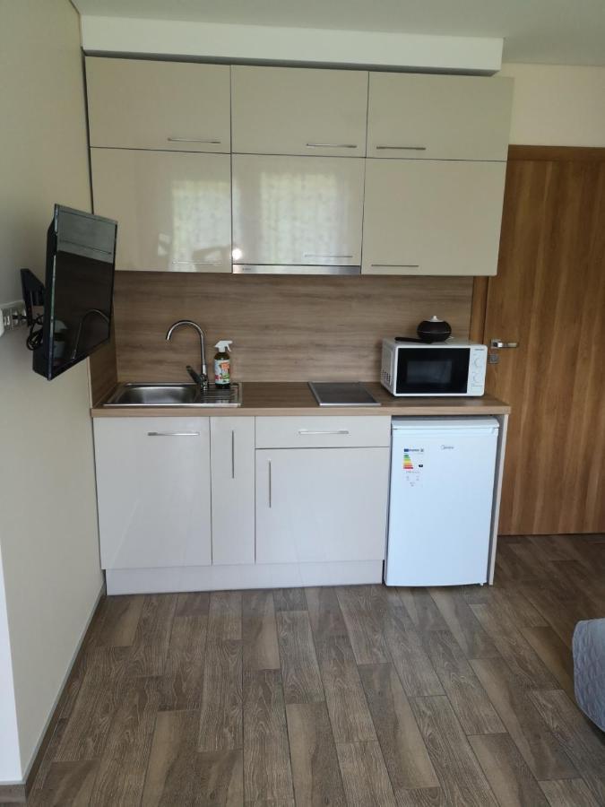 Kristinos Apartment Druskieniki Zewnętrze zdjęcie