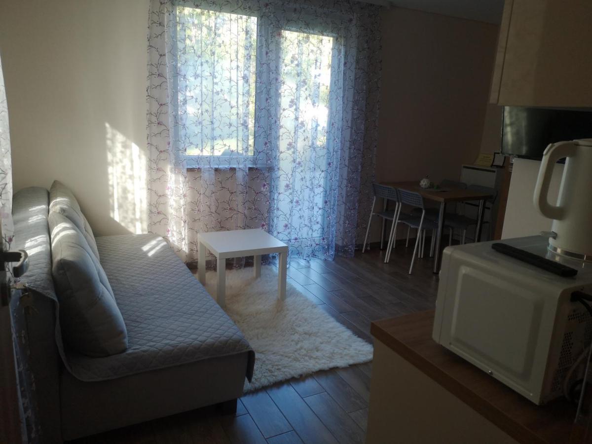 Kristinos Apartment Druskieniki Zewnętrze zdjęcie
