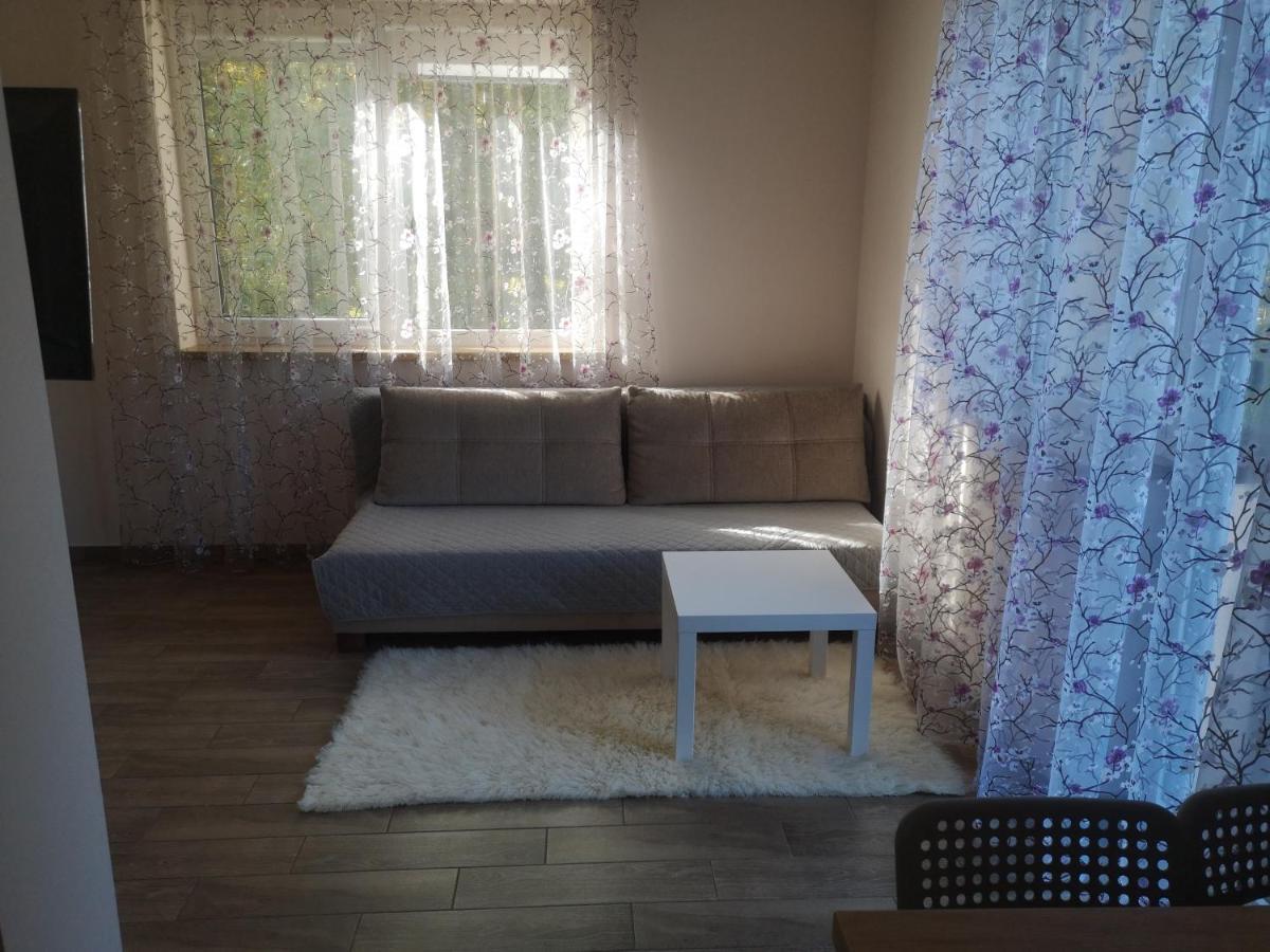 Kristinos Apartment Druskieniki Zewnętrze zdjęcie