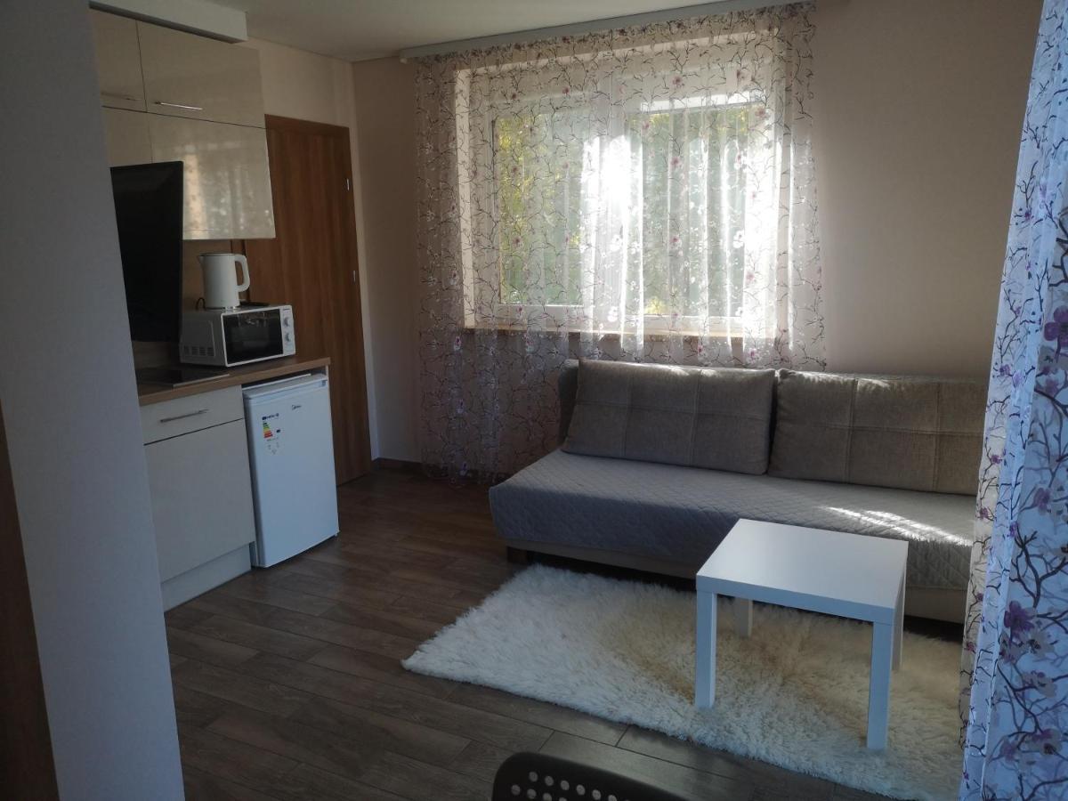 Kristinos Apartment Druskieniki Zewnętrze zdjęcie
